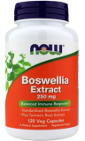 Now Boswellia Extract  (Экстракт босвеллии)250 мг 120 капсул