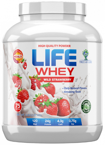 Tree of Life LIFE WHEY 1816 грамм