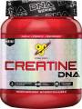 Creatine DNA