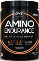 QNT Amino Endurance 350 грамм